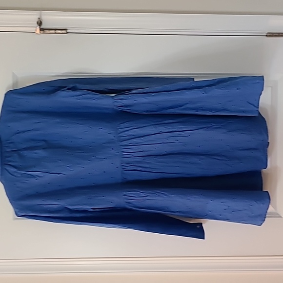 A sky blue eyelet dress with a button down front. Long sleeve with button cuffs. - Picture 4 of 4